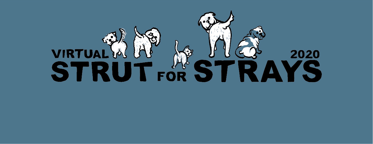 Virtual Strut for Strays 2020